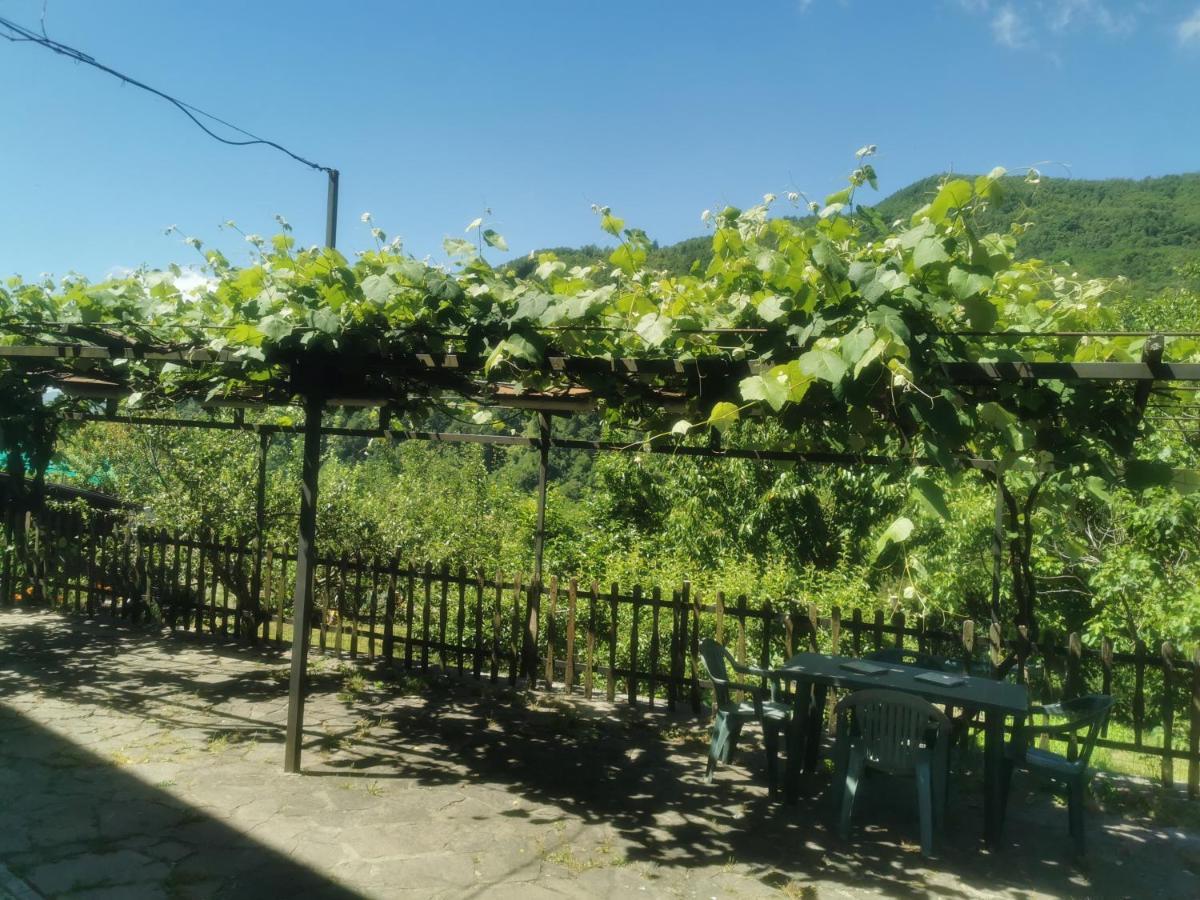 Appartamento Nel Verde San Marcello Pistoiese Eksteriør billede